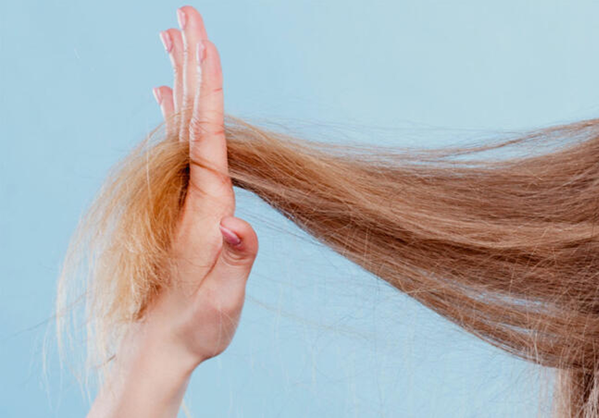 Read more about the article Cabelos ressecados e quebradiços? A máscara de óleo de café verde e Macadâmia podem devolver vida ao seu cabelo