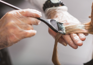 Read more about the article DO LOIRO AO CASTANHO: CONHEÇA 3 DICAS NECESSÁRIAS